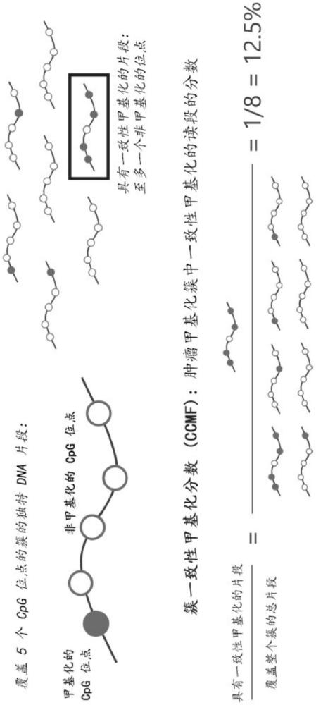 用于异常甲基化的超灵敏检测的片段一致性方法与流程