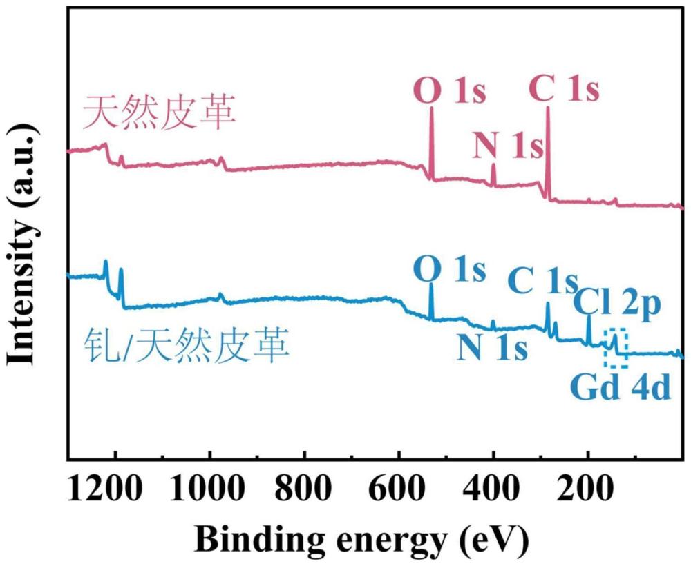 一种天然皮革基中子防护材料及其制备方法与应用