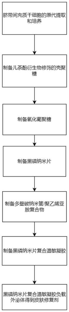 一种脐带源干细胞外泌体皮肤修复剂及其制备工艺的制作方法