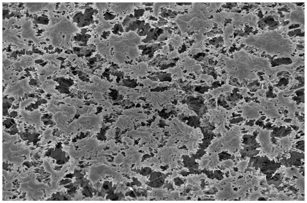 一种UPE多孔过滤膜及其制备方法和用途与流程
