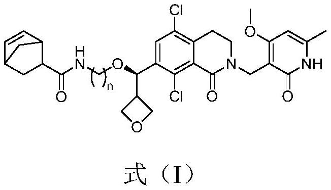 一种以降冰片烯为疏水基团修饰的EZH2蛋白降解剂及其制备方法和应用