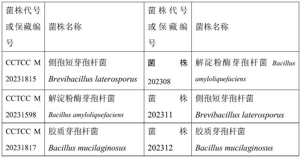 ARC微生物菌剂用于生产ARC+肥料增效剂或肥料助剂的用途