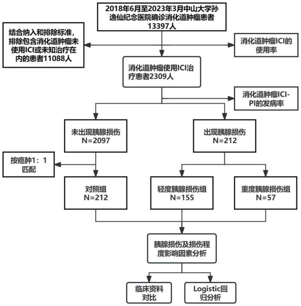 胰腺损伤及损伤程度的影响因素的分析评价方法