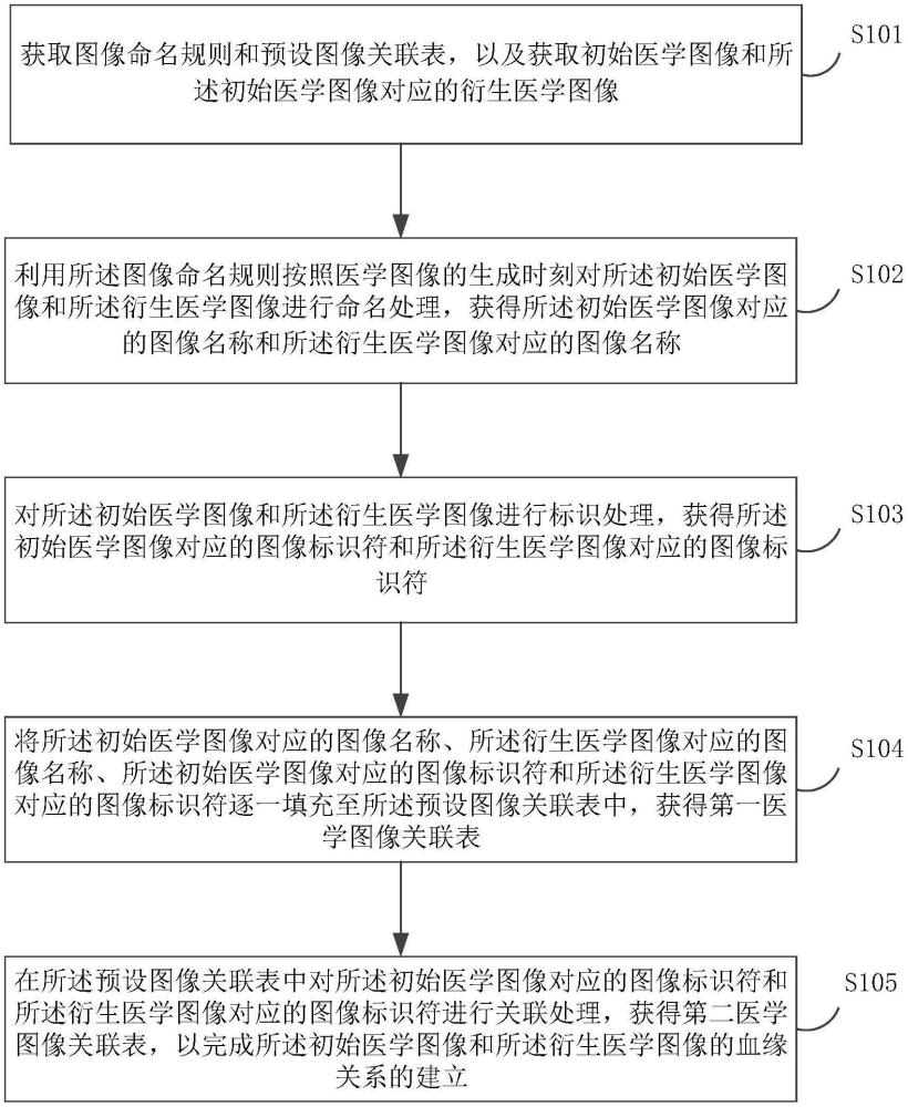 一种医学图像血缘关系的建立方法、装置及产品与流程