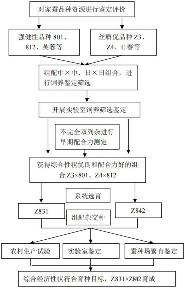 一种耐高温湿热家蚕品种的选育方法