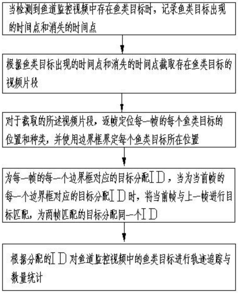 一种鱼类识别方法、设备和计算机可读存储介质与流程