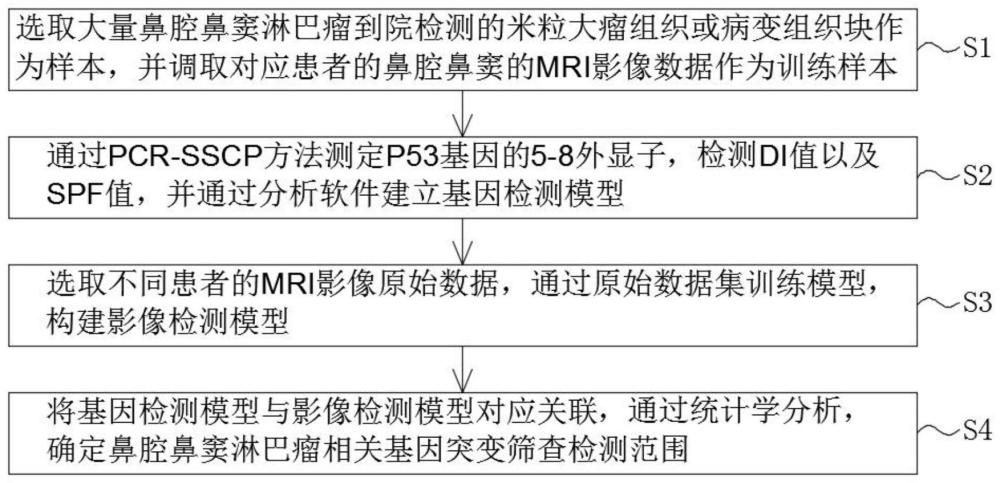 一种鼻腔鼻窦淋巴瘤相关基因突变筛查检测模型及构建方法