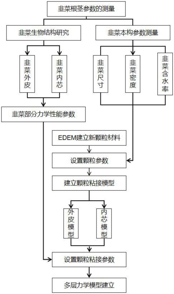 一种用于韭菜切割模拟的多层力学模型建模方法