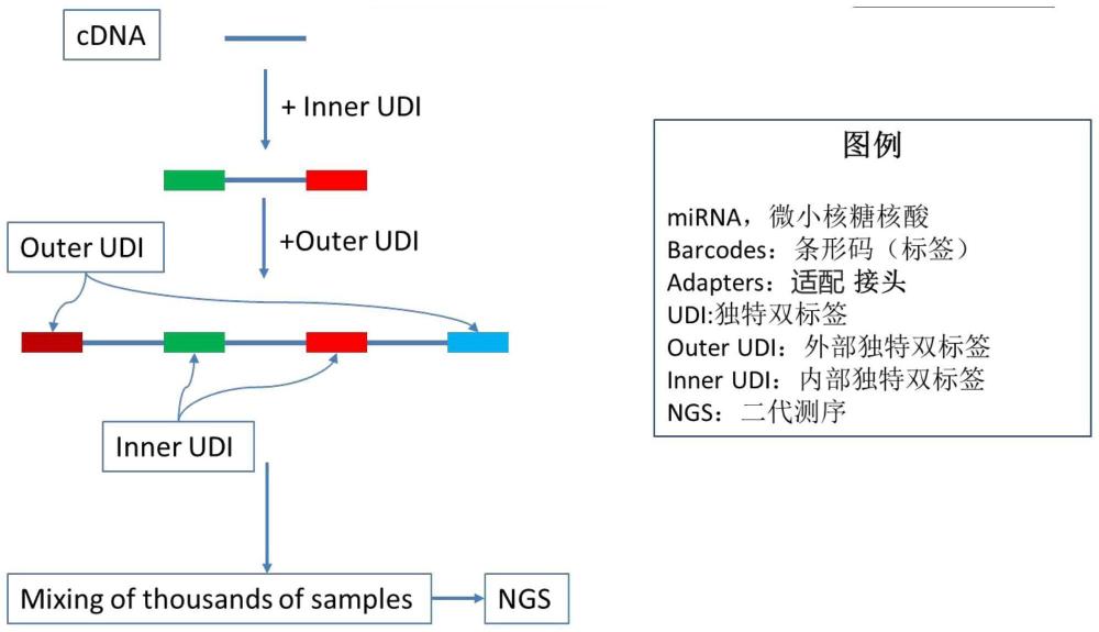 一种可重复的用于微小RNA异构体下一代测序的双重独特双标签文库的构建方法及其应用与流程