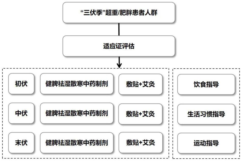 一种在“三伏季”使用的具有健脾祛湿散寒功效的中药组合物及其制备方法与流程