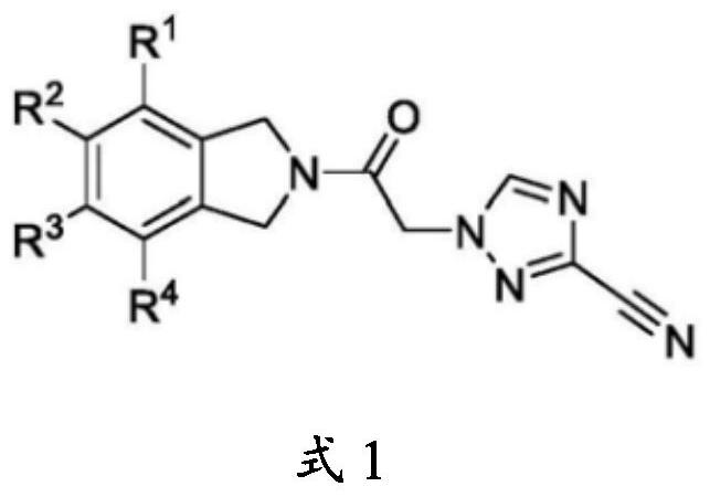 粘结剂组合物、浆料组合物、电极和二次电池的制作方法