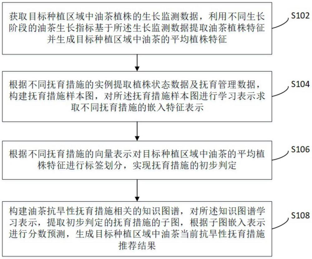 基于植株特征的油茶抗旱性抚育措施推荐方法及系统