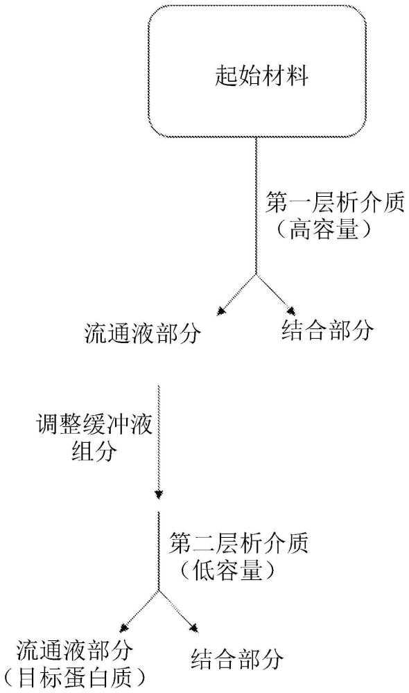 用于分离蛋白质的组合物和方法与流程