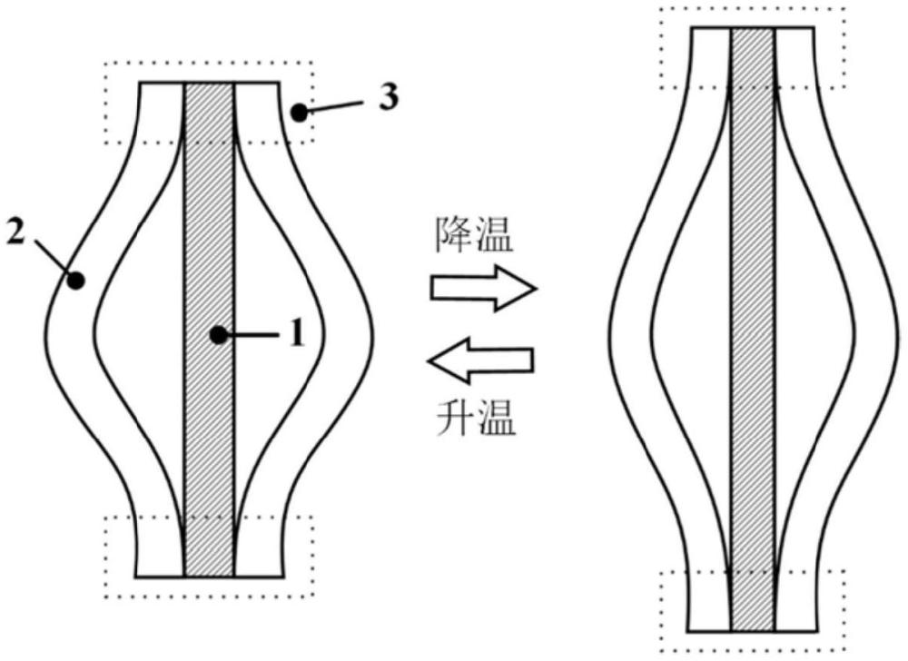 基于屈曲结构的双向形状记忆聚合物驱动器及编程方法