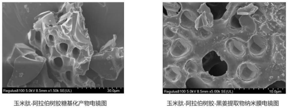 一种基于美拉德反应的抗薏仁米氧化的纳米膜及其制备方法与应用