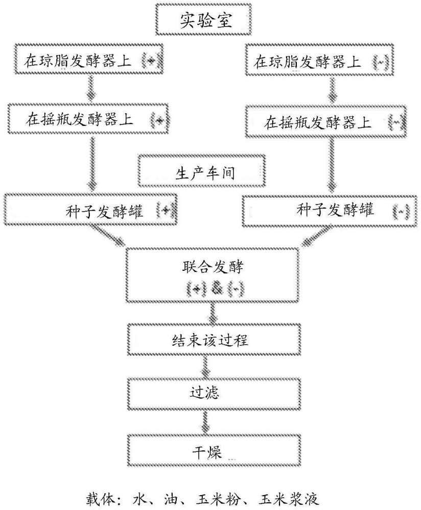 含八氢番茄红素的油树脂和组合物的制作方法