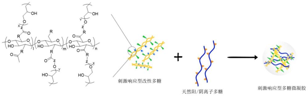 一种刺激响应型改性多糖微凝胶及其制备方法与应用