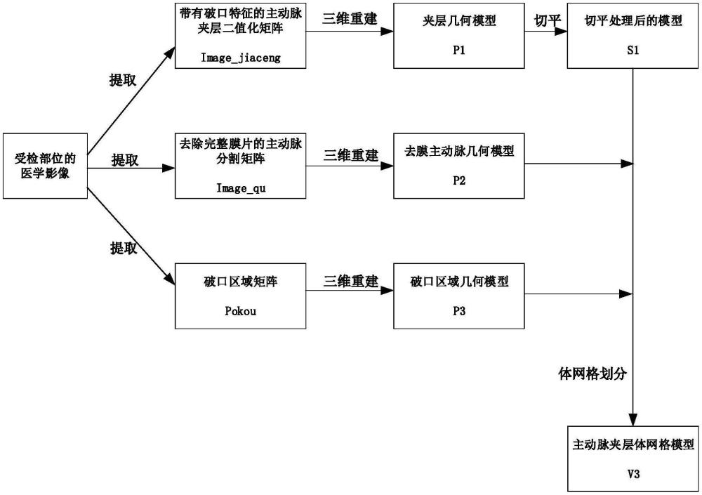 血流动力学仿真方法及相关产品与流程