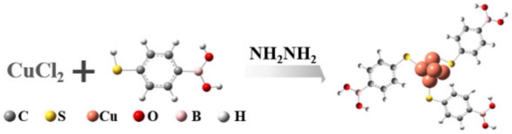 一种4-疏基苯硼酸修饰的铜纳米团簇及其制备方法与应用