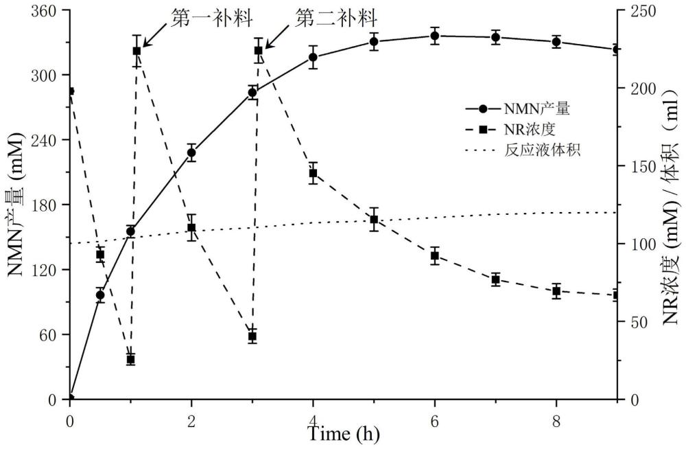 一种用于合成β-烟酰胺单核苷酸的重组菌株及其构建方法与应用与流程