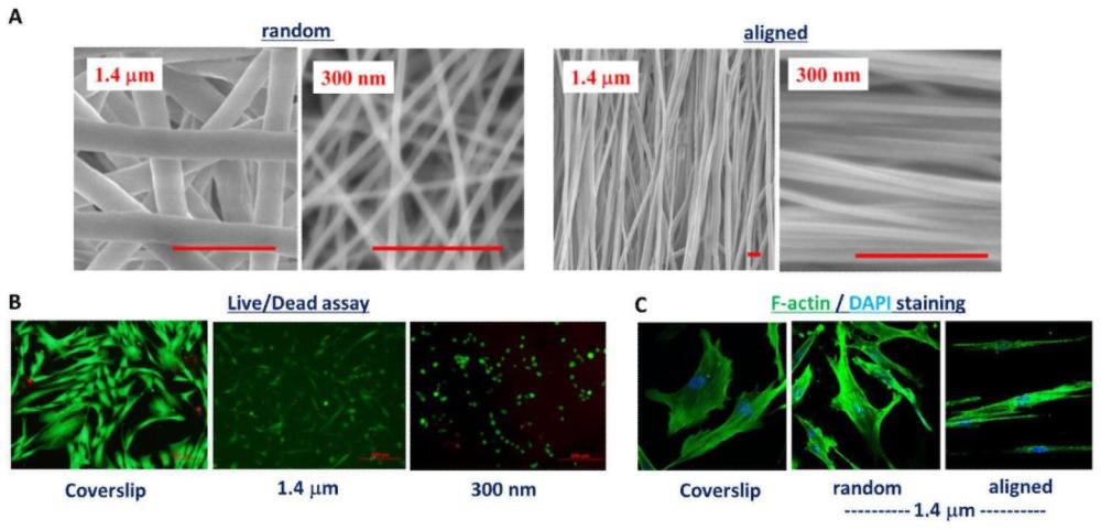 一种枸杞多糖高分子混和纤维支架的制备工艺的制作方法