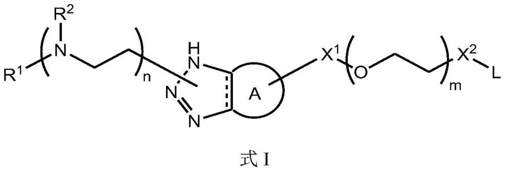 包含聚乙烯亚胺和聚乙二醇的靶向线性偶联物以及包含其的聚合物复合物的制作方法