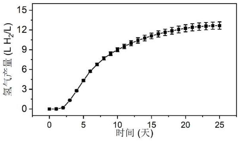 一种基于状态转换策略提高微藻光合制氢效率的方法