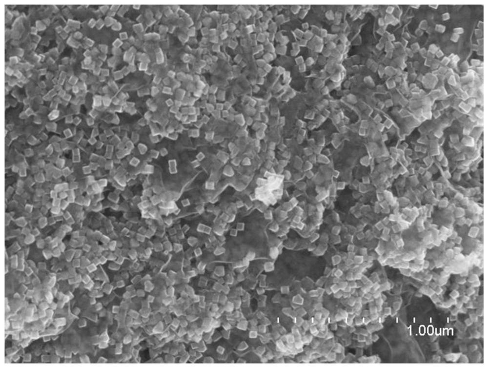 一种单层MXene胶体溶液、Fe2O3/MXene复合材料及其制备方法与应用