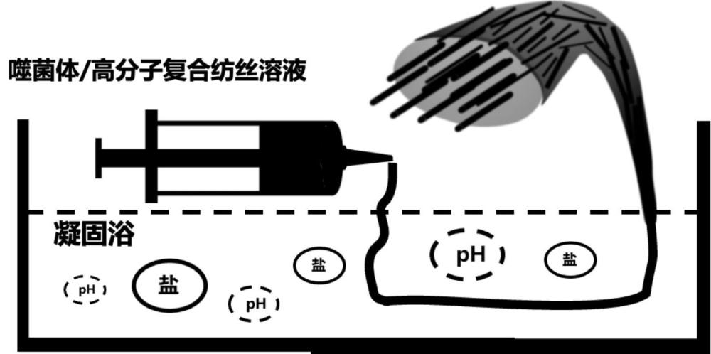 噬菌体基复合纤维的制备方法