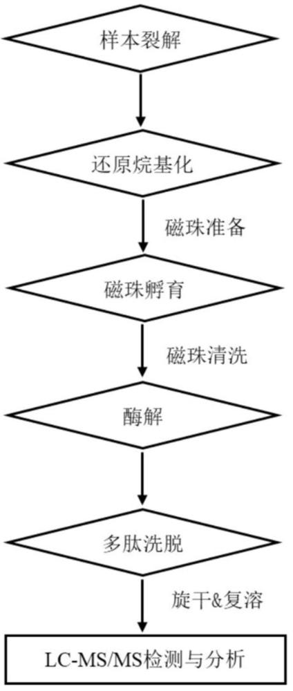 一种评估样本中血液污染程度的方法与流程