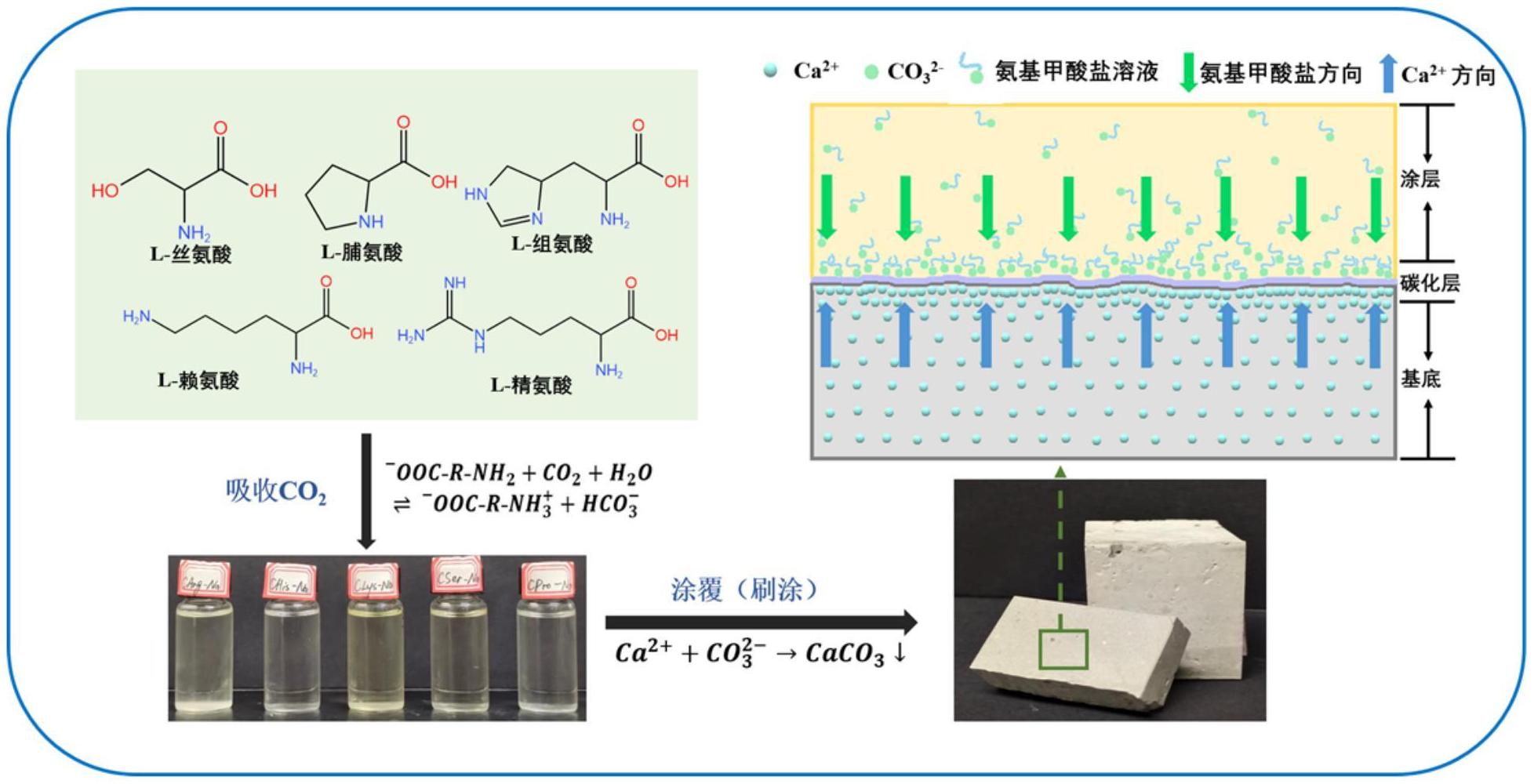 一种诱导水泥基材料快速碳化的氨基甲酸盐涂层溶液制备方法