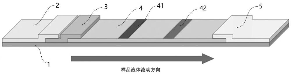 一种用于检测血浆中CRP的荧光侧流免疫层析试纸条