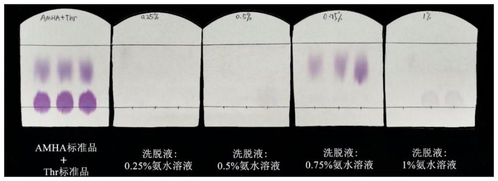 2-氨基-3-甲基己酸的发酵生产方法