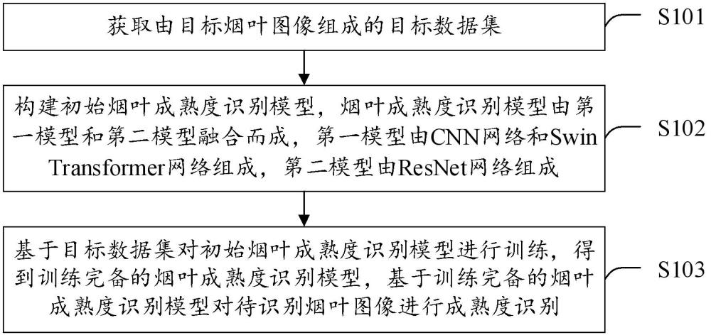 一种烟叶成熟度识别方法、装置及电子设备与流程