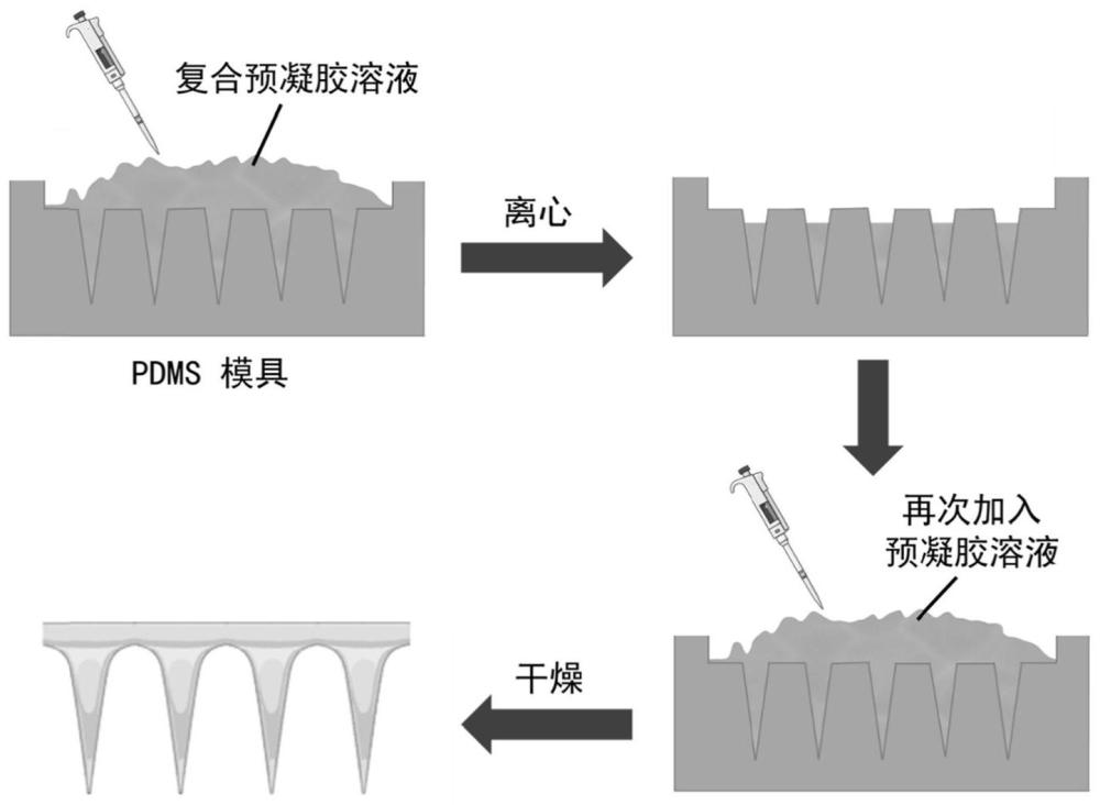 一种掺杂手性分子微针的制备方法及应用