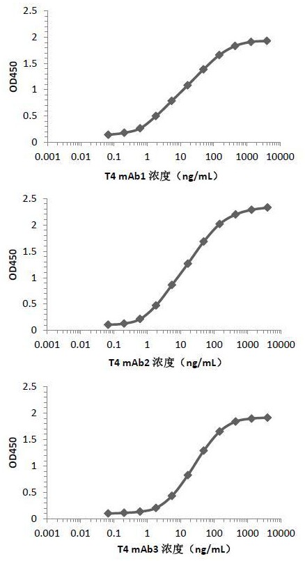 检测甲状腺素的抗体或其抗原结合片段、其制备方法和应用与流程