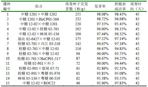 一种甘蔗实生苗露天培育方法