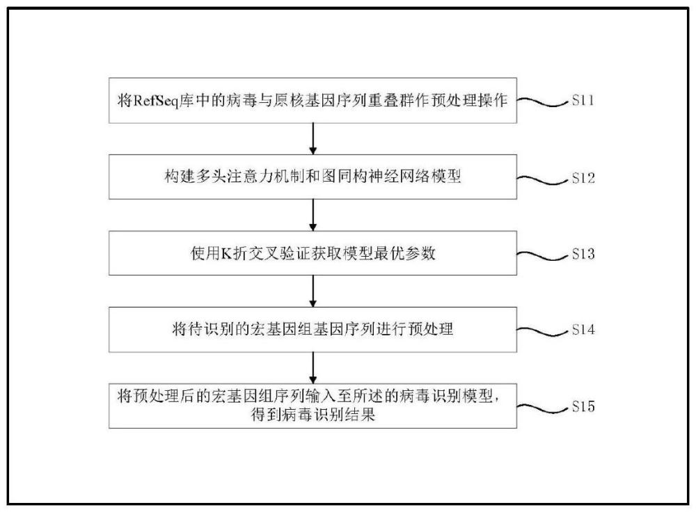 一种基于多头注意力机制和图同构神经网络的病毒识别方法