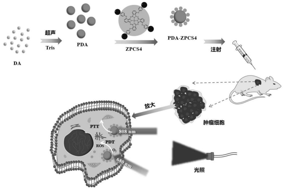 一种水溶性酞菁/聚多巴胺纳米球及其制备方法和应用与流程