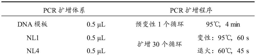 克鲁维毕赤酵母PK-7及其在樱桃番茄混合发酵果蔬汁中的应用