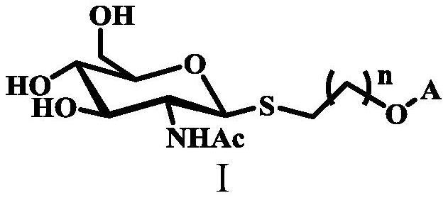 一种新型乙酰氨基葡萄糖硫糖苷缀合物及其制备和应用
