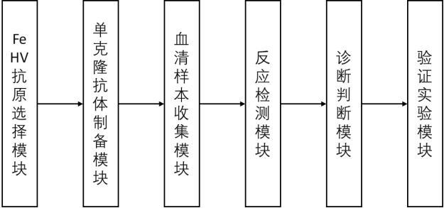 猫疱疹病毒1型监测评估平台及应用的制作方法