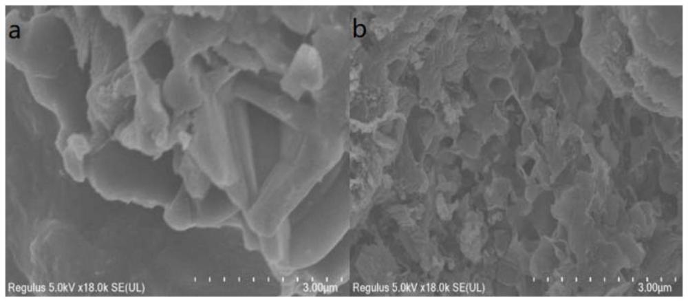 碳量子点修饰石墨氮化碳复合材料及其制备方法和应用