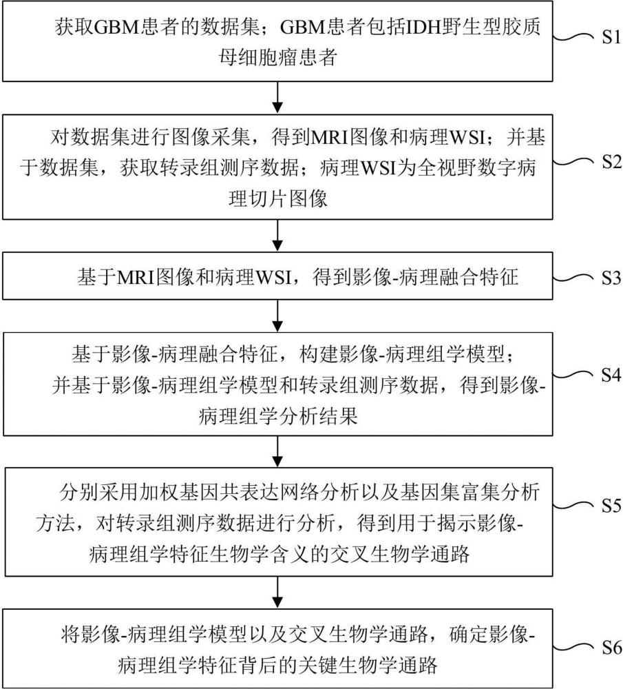 基于磁共振-病理图像融合的GBM患者预后评估方法及系统