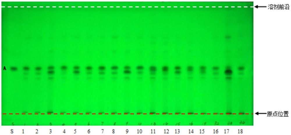 一种中药横经席的薄层鉴别方法及应用与流程