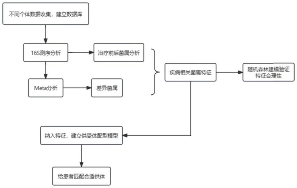 适用于肠道菌群移植治疗结直肠息肉的供受体配型模型及其构建方法和辅助决策系统与流程