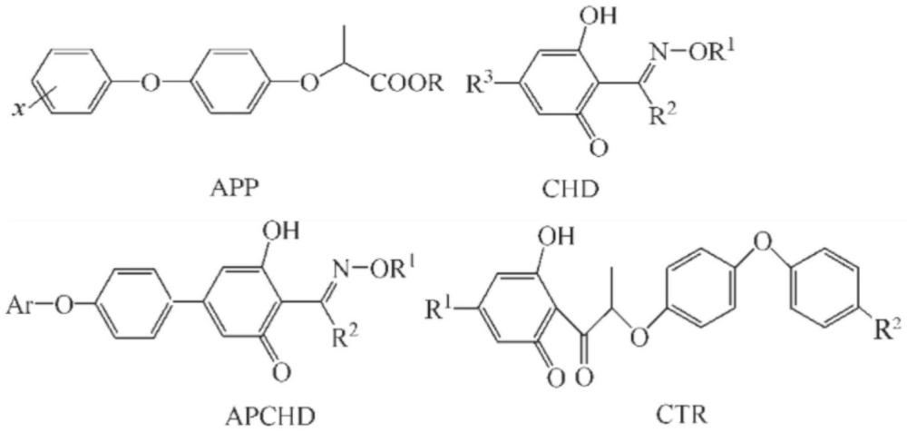 一种抗除草剂乙酰辅酶A羧化酶突变体及其应用的制作方法