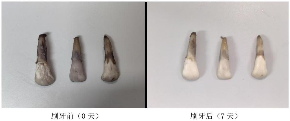 一种多重美白牙膏组合物及其制备方法与流程