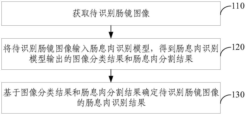 肠息肉识别方法、装置、电子设备和存储介质与流程