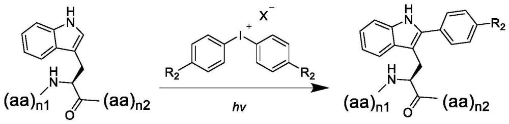 一种可见光介导的色氨酸吲哚C-2位选择性芳基化修饰的方法及其应用